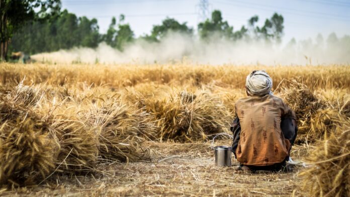 Indian agriculture